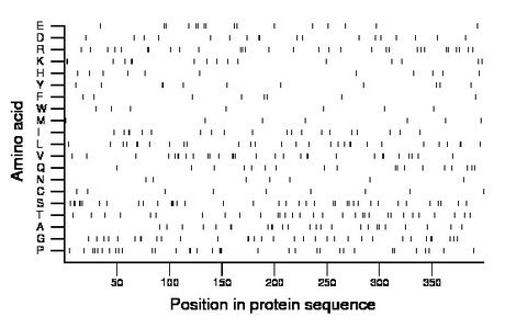 amino acid map