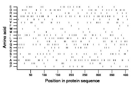 amino acid map