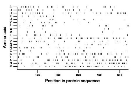 amino acid map