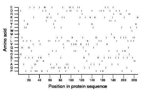 amino acid map