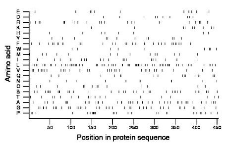 amino acid map