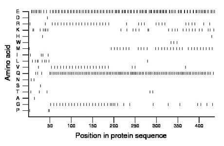 amino acid map