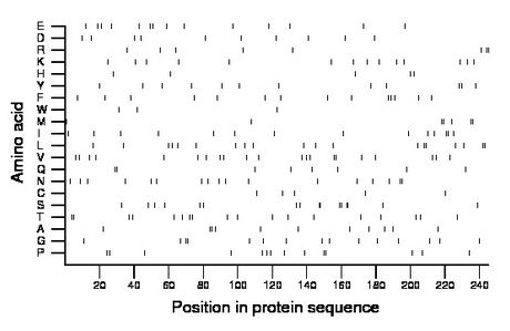 amino acid map