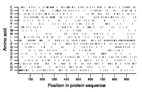 amino acid map