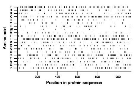 amino acid map