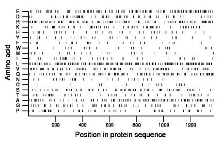 amino acid map