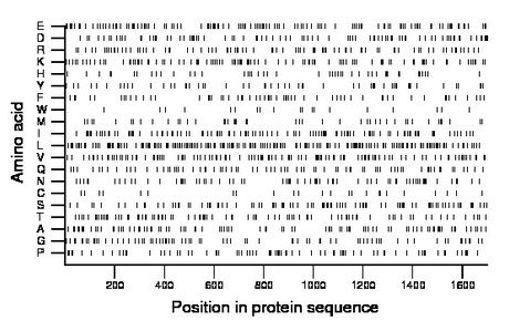 amino acid map