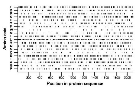 amino acid map