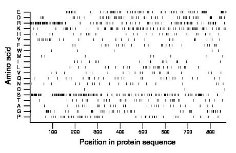 amino acid map