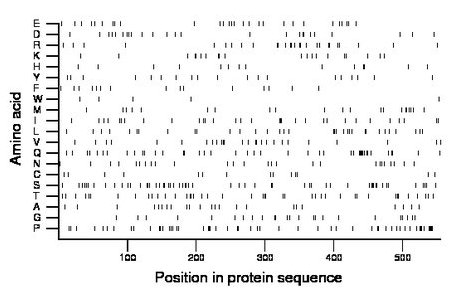 amino acid map