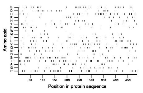 amino acid map