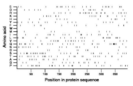 amino acid map