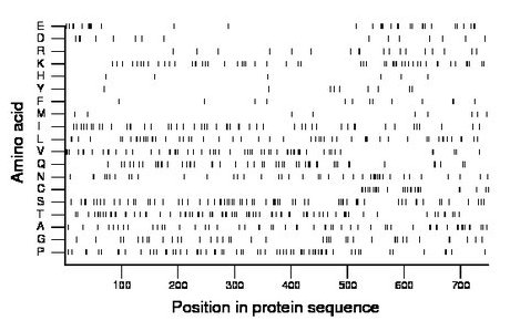 amino acid map