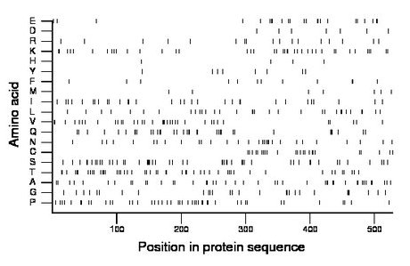 amino acid map