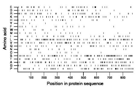 amino acid map