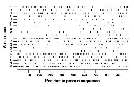 amino acid map