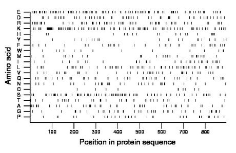 amino acid map