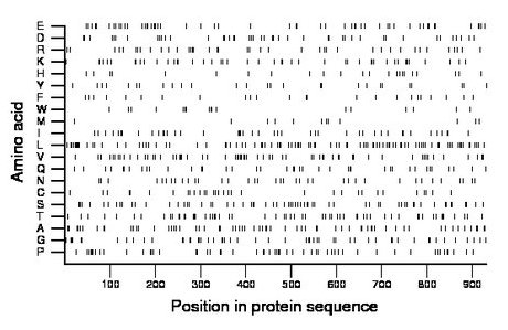 amino acid map