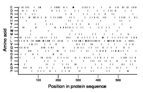 amino acid map