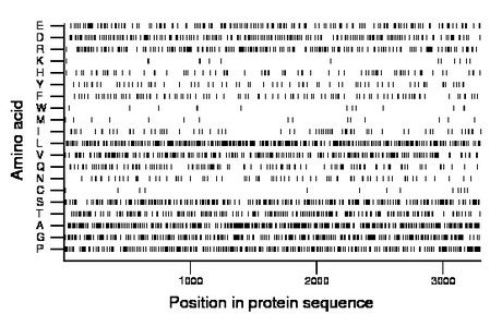 amino acid map