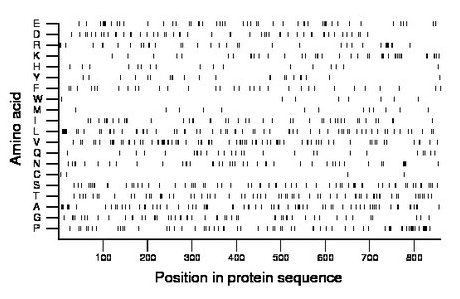 amino acid map