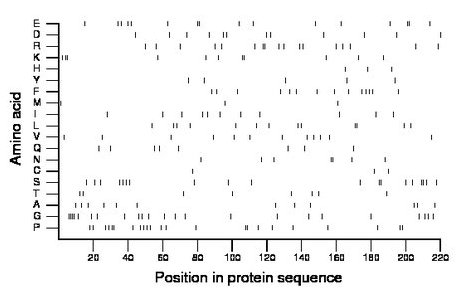 amino acid map