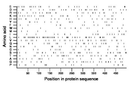 amino acid map