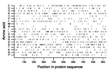 amino acid map