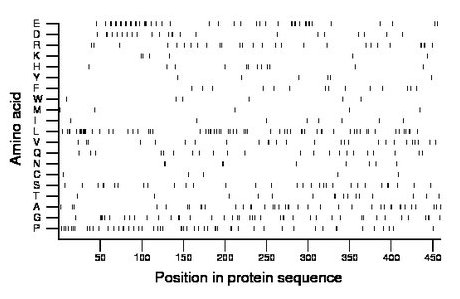 amino acid map