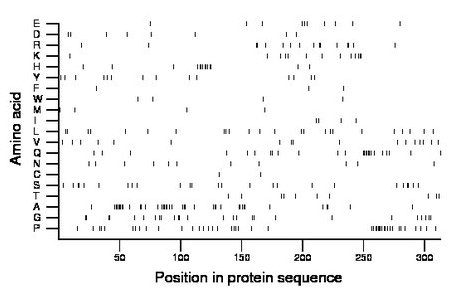 amino acid map