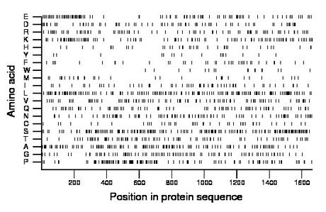 amino acid map