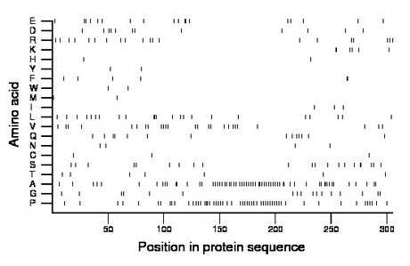 amino acid map