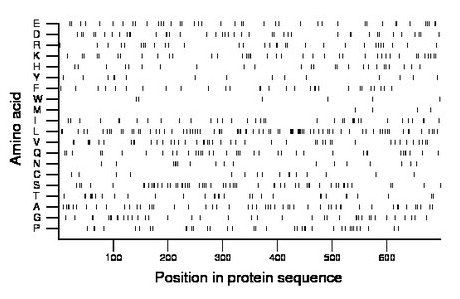 amino acid map