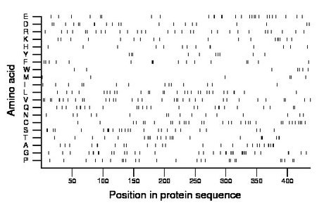 amino acid map