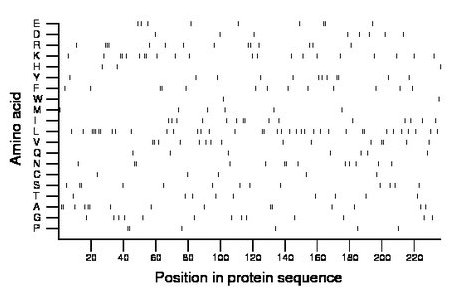 amino acid map