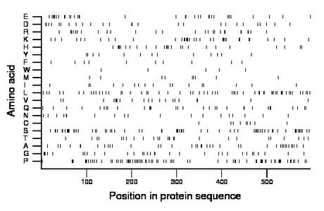 amino acid map