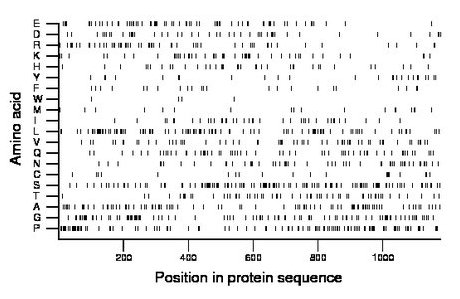 amino acid map