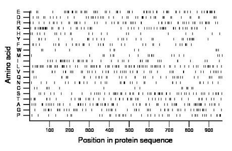 amino acid map