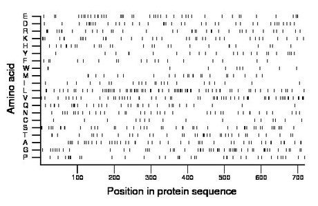 amino acid map