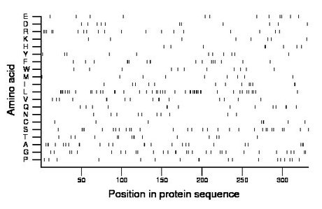 amino acid map