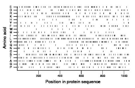 amino acid map