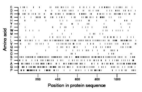 amino acid map