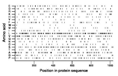 amino acid map