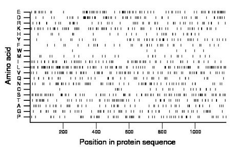 amino acid map