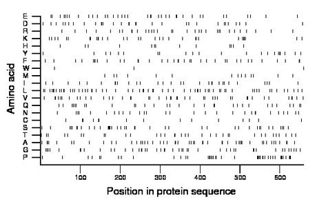 amino acid map