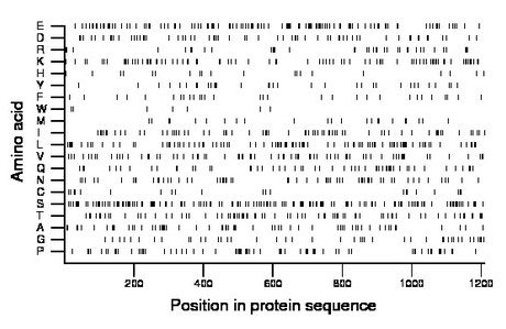 amino acid map