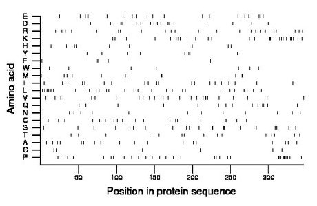 amino acid map