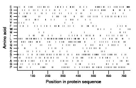 amino acid map