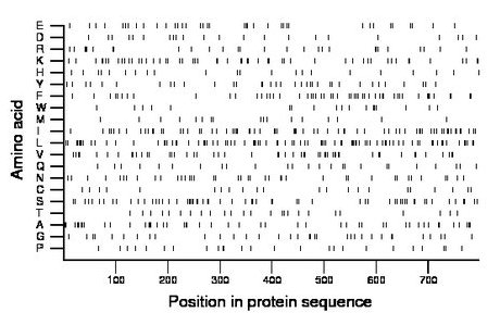 amino acid map