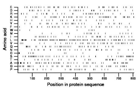 amino acid map